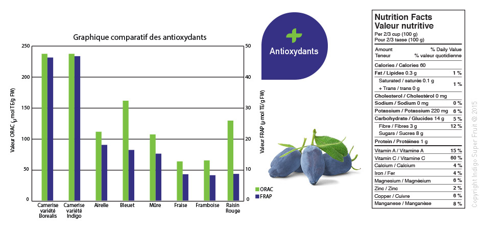 +antioxydants camerise 