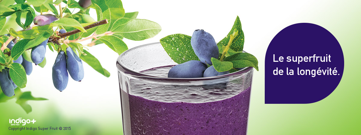 La camerise le fruit de la longevite