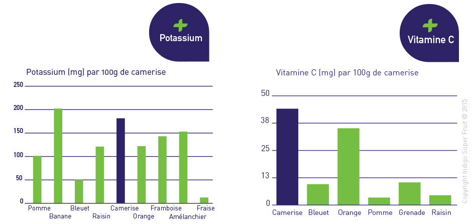 +antioxydants camerise 